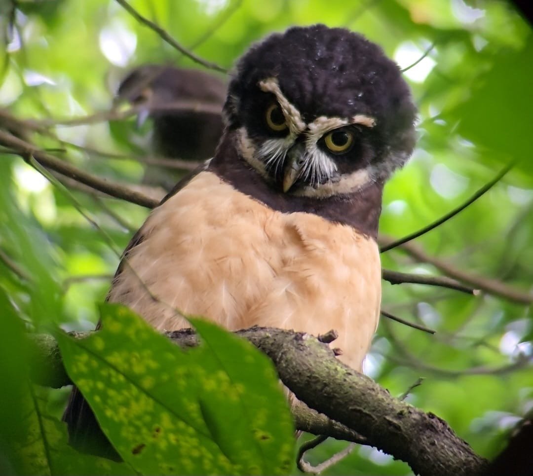 5faec349 Db66 4bd9 8ba6 D1cb86a18786