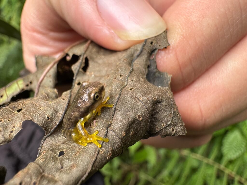 whatsapp image 2025 10 17 at 5.35.42 pm (11)