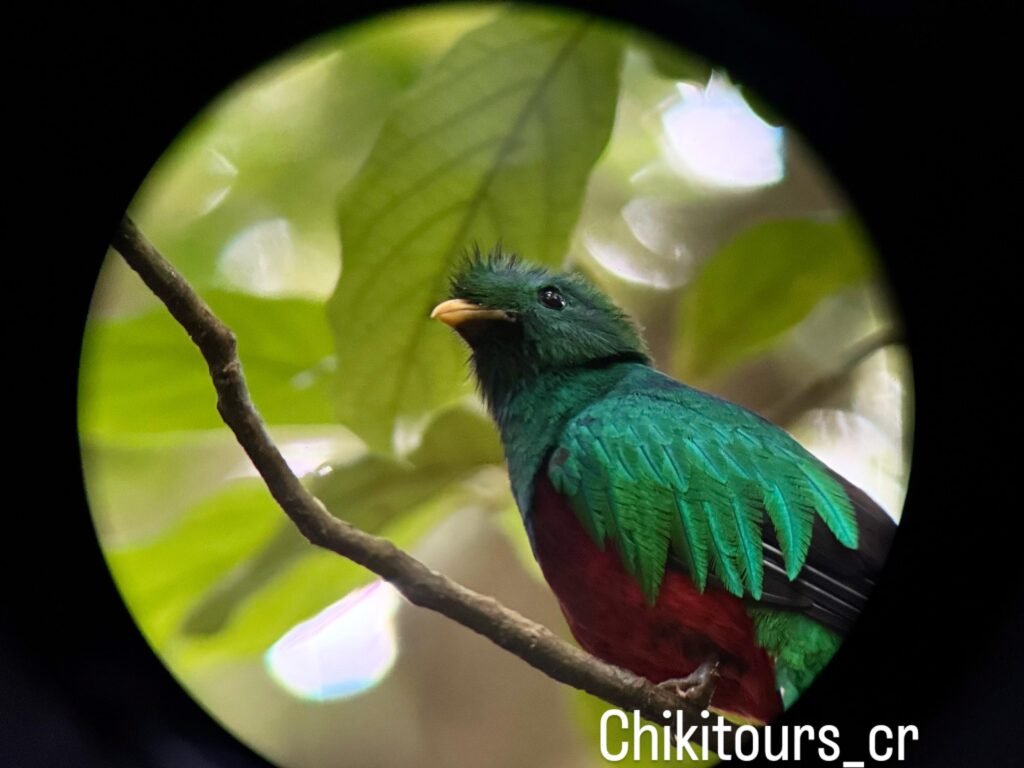 whatsapp image 2025 10 17 at 5.35.42 pm (8)