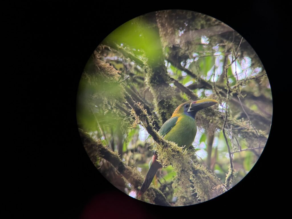 whatsapp image 2025 10 17 at 5.54.43 pm