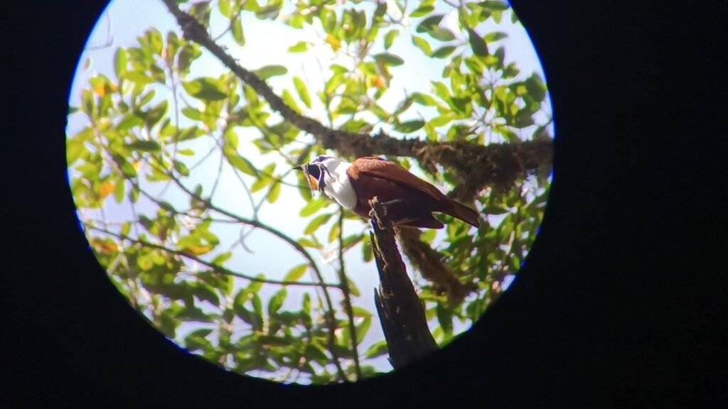 whatsapp image 2025 10 17 at 6.03.45 pm (1)