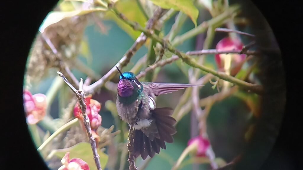 whatsapp image 2025 10 17 at 6.03.45 pm (2)