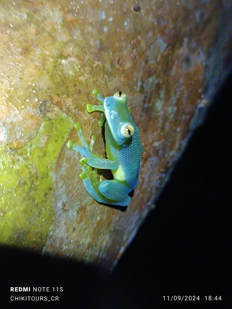 whatsapp image 2025 10 17 at 6.04.05 pm (2)