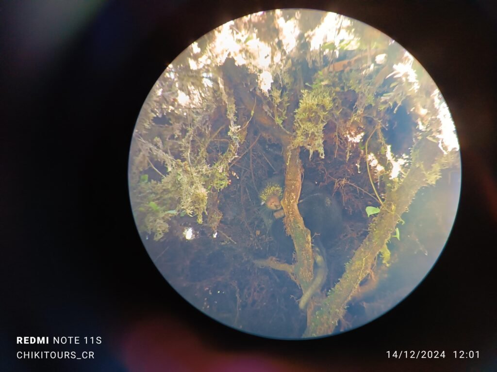 whatsapp image 2025 10 17 at 6.04.05 pm (3)