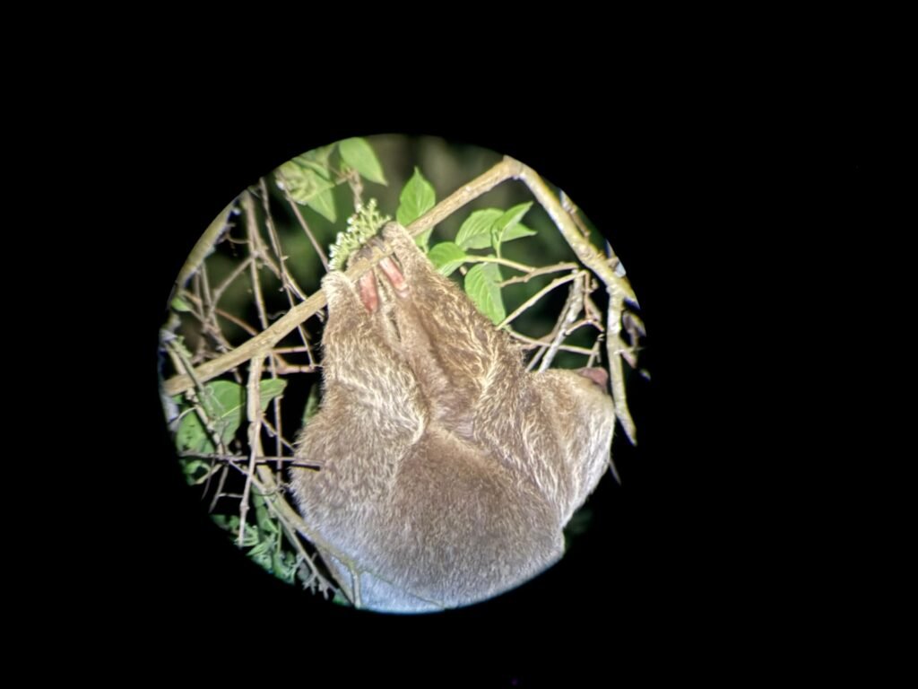 whatsapp image 2025 10 17 at 6.04.05 pm (4)