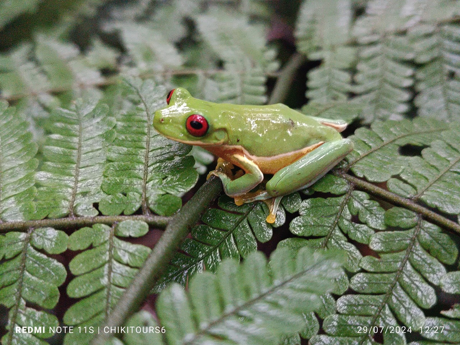 whatsapp image 2025 10 17 at 6.04.05 pm