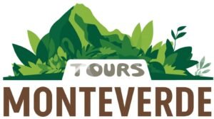 logo toursmonteverde