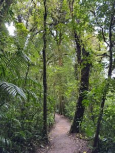 whatsapp image 2025 11 12 at 6.49.28 pm (1)