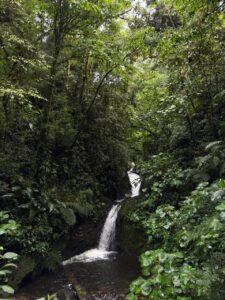 whatsapp image 2025 11 12 at 6.49.28 pm (2)