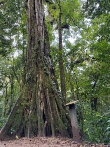 whatsapp image 2025 11 12 at 6.49.28 pm