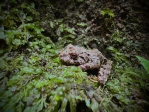 whatsapp image 2025 11 12 at 6.49.28 pm (4)