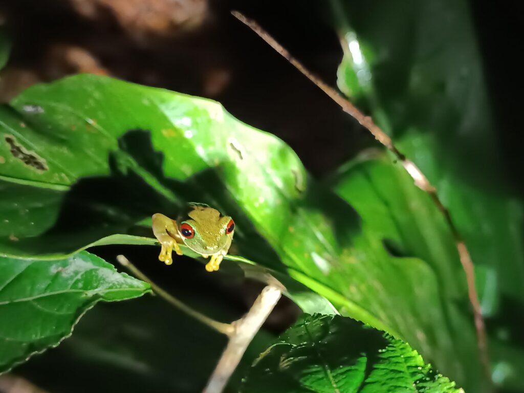 whatsapp image 2025 11 12 at 6.54.31 pm