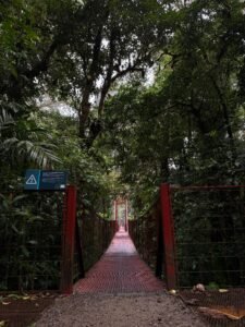 whatsapp image 2025 11 12 at 7.31.51 pm