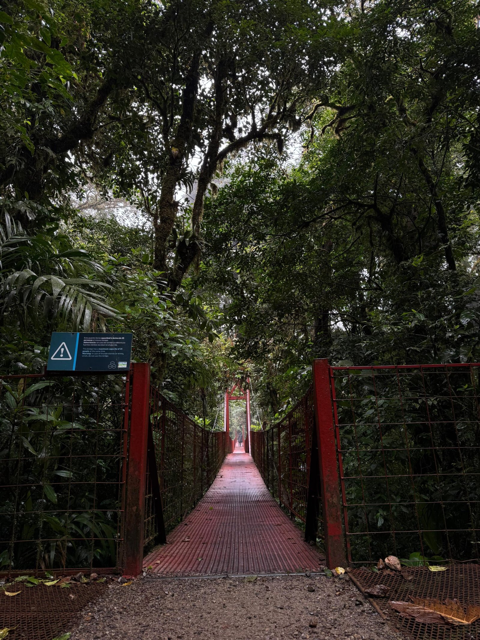 whatsapp image 2025 11 12 at 7.31.51 pm